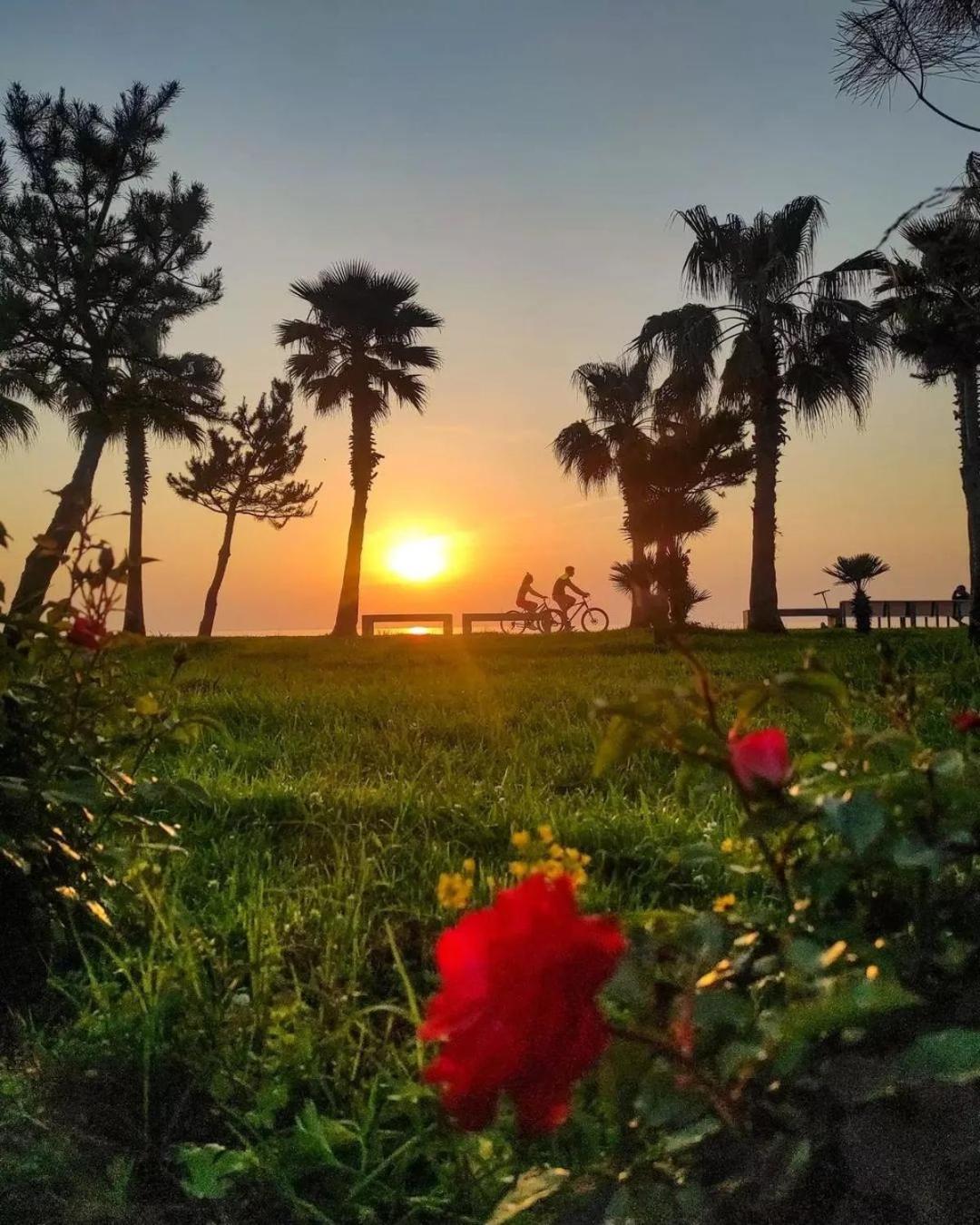 Elegance Sea View Aparthotel In Orbi City باتومي المظهر الخارجي الصورة